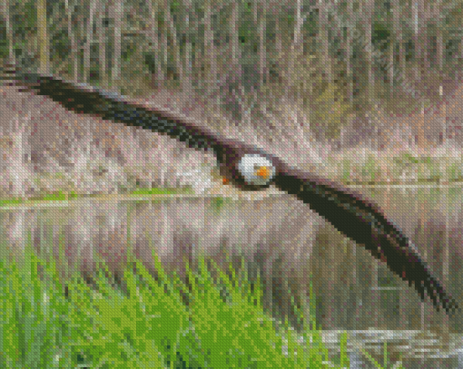 Eagle On The River Diamond Paintings