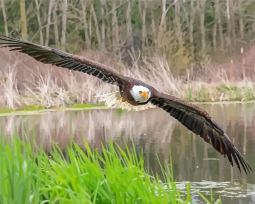 Eagle On The River Diamond Paintings