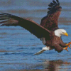 Eagle On The River Hunting Diamond Paintings