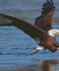 Eagle On The River Hunting Diamond Paintings