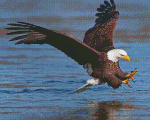 Eagle On The River Hunting Diamond Paintings