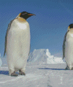 Emperor Penguin In Snow Diamond Paintings