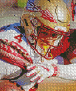 FSU Football Art Diamond Paintings