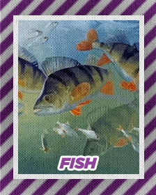 Fish