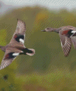 Flying Waterfowls Birds Diamond Paintings