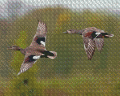 Flying Waterfowls Birds Diamond Paintings