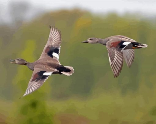 Flying Waterfowls Birds Diamond Paintings