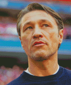 Football Coach Niko Kovac Diamond Paintings