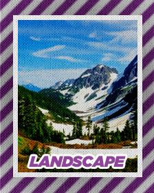 Landscapes