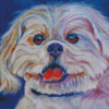 Lhasa Apso Dog Diamond Paintings