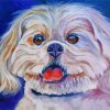 Lhasa Apso Dog Diamond Paintings