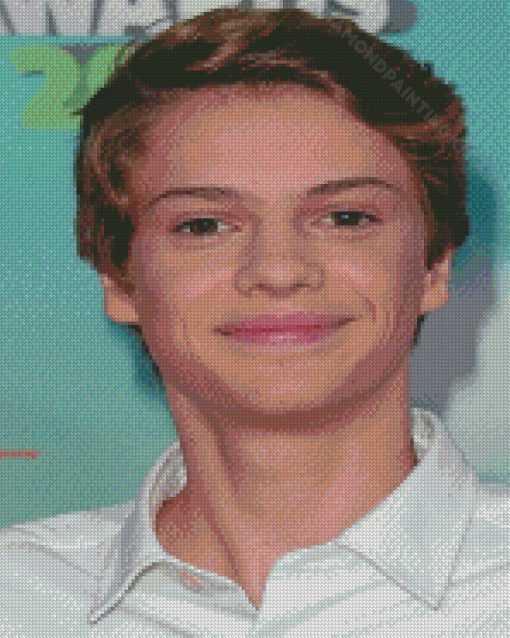 Little Jace Norman Diamond Paintings