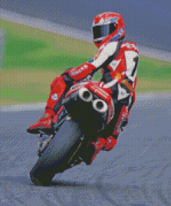 Motorycle Racer Carl Fogarty Diamond Paintings