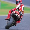 Motorycle Racer Carl Fogarty Diamond Paintings