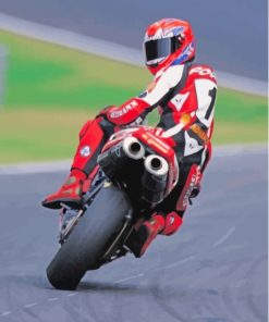 Motorycle Racer Carl Fogarty Diamond Paintings