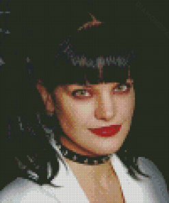 Pauley Perrette NCIS Character Diamond Paintings