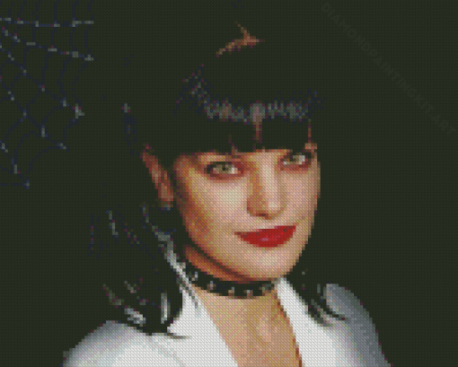 Pauley Perrette NCIS Character Diamond Paintings