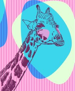 Pink And Blue Giraffe Diamond Paintings