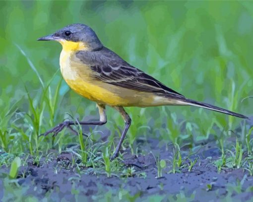 Aesthetic Eastern Yellow Wagtail Diamond Paintings