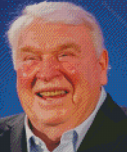 Aesthetic John Madden Diamond Paintings