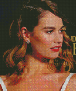 Aesthetic Lily James Diamond Paintings