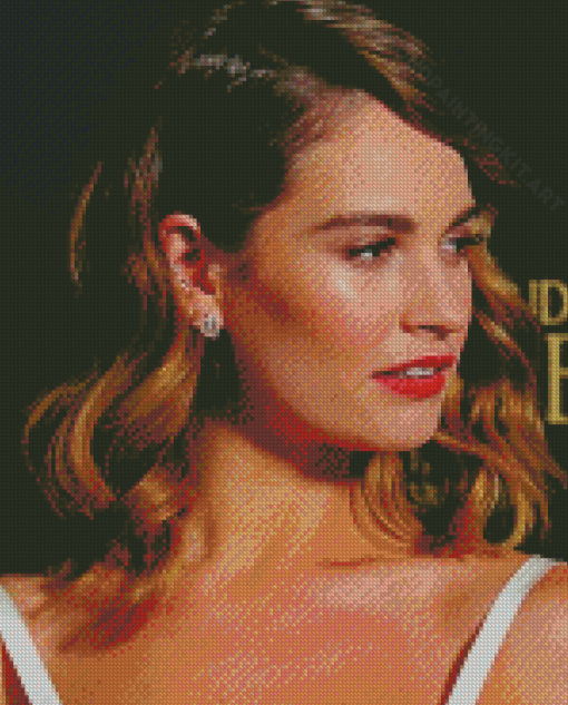 Aesthetic Lily James Diamond Paintings