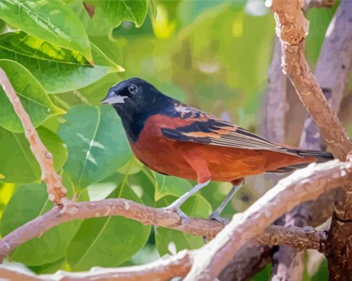 Aesthetic Orchard Oriole Diamond Paintings