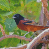 Aesthetic Orchard Oriole Diamond Paintings