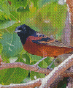 Aesthetic Orchard Oriole Diamond Paintings