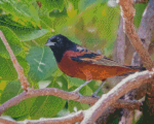 Aesthetic Orchard Oriole Diamond Paintings