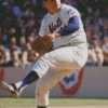 Aesthetic Tom Seaver Diamond Paintings