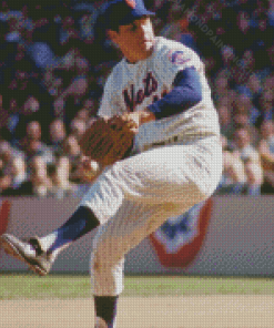 Aesthetic Tom Seaver Diamond Paintings