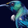 Aesthetic Tui Bird Diamond Paintings