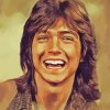 Aesthetic David Cassidy Diamond Paintings