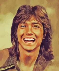 Aesthetic David Cassidy Diamond Paintings