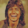 Aesthetic David Cassidy Diamond Paintings