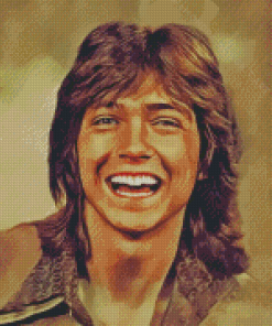 Aesthetic David Cassidy Diamond Paintings