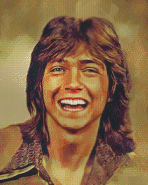 Aesthetic David Cassidy Diamond Paintings