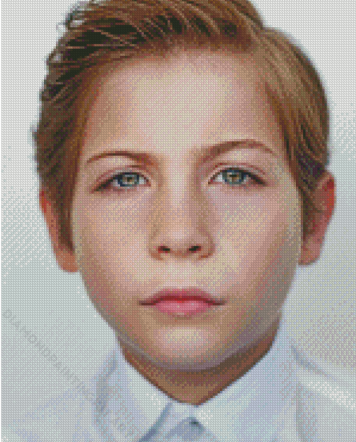 The Actor Jacob Tremblay Diamond Paintings