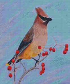 Waxwing Diamond Paintings