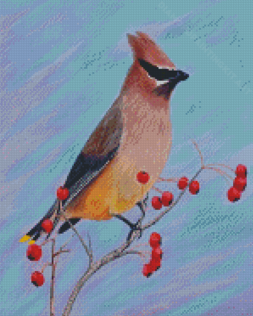 Waxwing Diamond Paintings