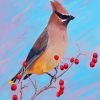 Waxwing Diamond Paintings