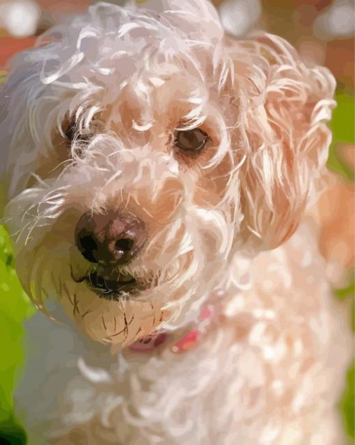 White Whoodle Dog Diamond Paintings