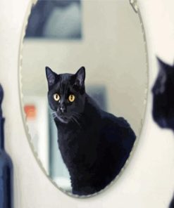 Cat In The Mirror Diamond Painting