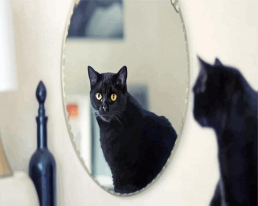 Cat In The Mirror Diamond Painting