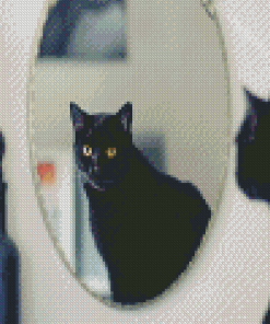 Cat In The Mirror Diamond Painting