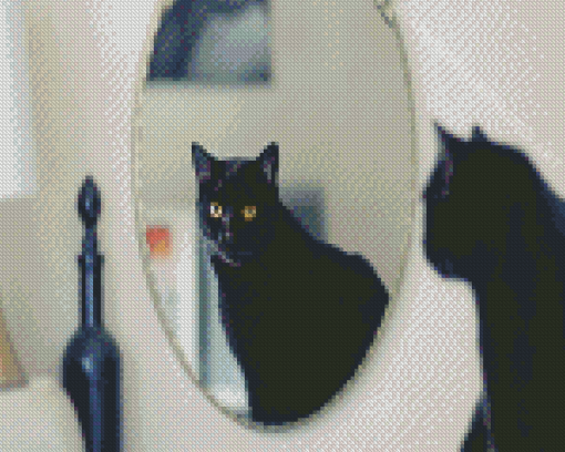 Cat In The Mirror Diamond Painting