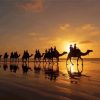 Broome Camels Diamond Painting