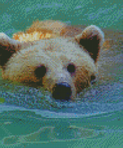 Grizzly Bear Diamond Painting