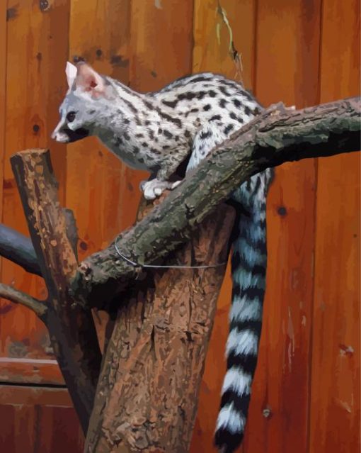 Common Genet Diamond Painting